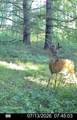  Hagerman Road - Photo 44