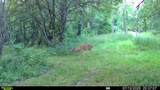  Hagerman Road - Photo 45