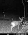  Hagerman Road - Photo 46
