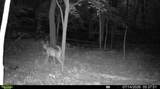  Hagerman Road - Photo 47