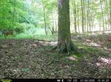  Hagerman Road - Photo 48