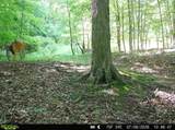  Hagerman Road - Photo 49