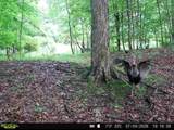  Hagerman Road - Photo 50