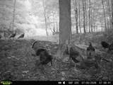  Hagerman Road - Photo 51