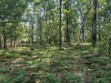 802 Beaver Road - Photo 6