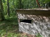 802 Beaver Road - Photo 8