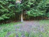 9500 Moon Ridge Road - Photo 5