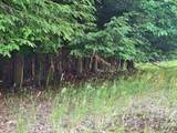 9500 Moon Ridge Road - Photo 7