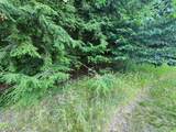 9500 Moon Ridge Road - Photo 8