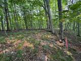 Lot #3 Bellinger Road - Photo 12