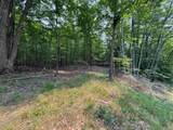 Lot #3 Bellinger Road - Photo 7
