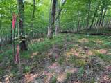Lot #3 Bellinger Road - Photo 8