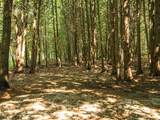 Parcels A & B Schuss Mountain Road - Photo 27