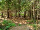 Parcels A & B Schuss Mountain Road - Photo 33