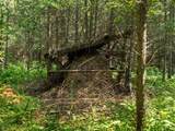 Parcels A & B Schuss Mountain Road - Photo 36