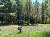 Parcels A & B Schuss Mountain Road - Photo 42