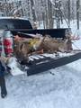 Parcels A & B Schuss Mountain Road - Photo 44