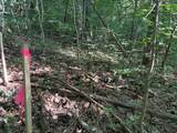 5659 Keller Road - Photo 7