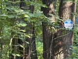 5659 Keller Road - Photo 8