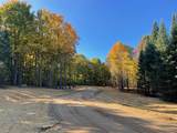 5698 Old Oak Trail - Photo 2