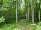 V/L Rabidue Road - Photo 1