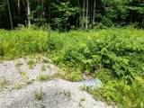 V/L Rabidue Road - Photo 9