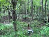 142 Hills Circle - Photo 3