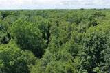 000 Lakeshore Road - Photo 11