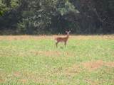 County Line Road - Photo 19