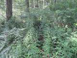  County Line Road - Photo 27