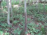  County Line Road - Photo 30