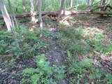  County Line Road - Photo 31