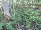  County Line Road - Photo 32