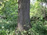  County Line Road - Photo 34