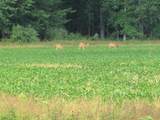  County Line Road - Photo 40