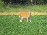  County Line Road - Photo 41
