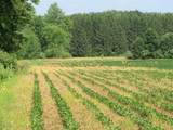  County Line Road - Photo 43