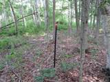  County Line Road - Photo 7