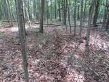  County Line Road - Photo 8