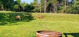 5347 Dover Way - Photo 20