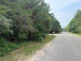 904 White Birch Dr - Photo 10