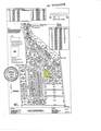 904 White Birch Dr - Photo 2