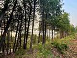 Lot 30 & 31 Lake Leelanau Drive - Photo 3