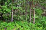 00000 Potter Road - Photo 13