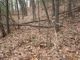 1597 Edgewater Ridge - Photo 3