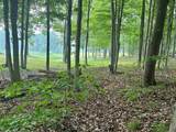 V/L 8 Forest Trail - Photo 1