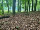 V/L 8 Forest Trail - Photo 2