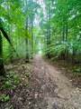 V/L 8 Forest Trail - Photo 3