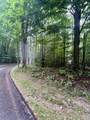 V/L 8 Forest Trail - Photo 5