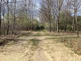 8005 Juniper Beach Road - Photo 18